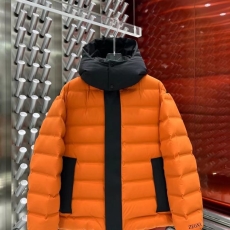 Zegna Down Jackets